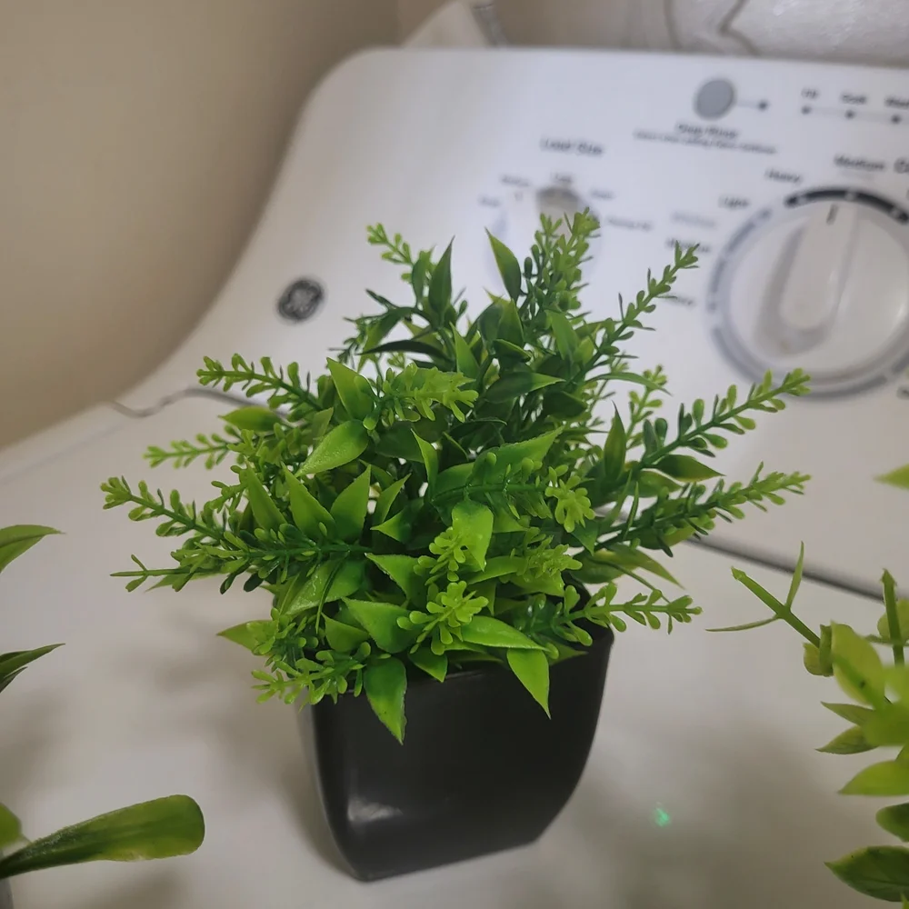 Artificial Greenery in Black Planters
